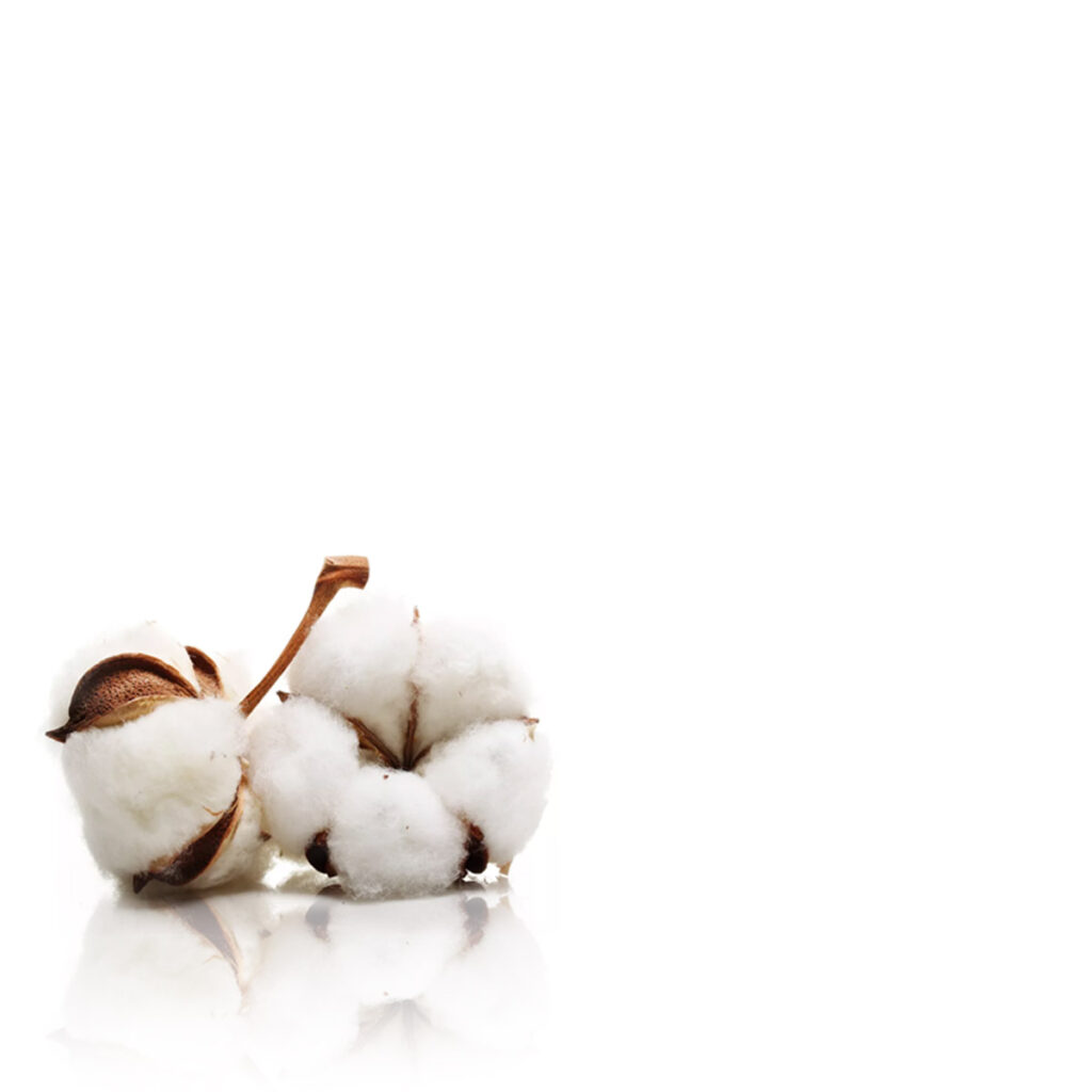 nimble_asset_cotton