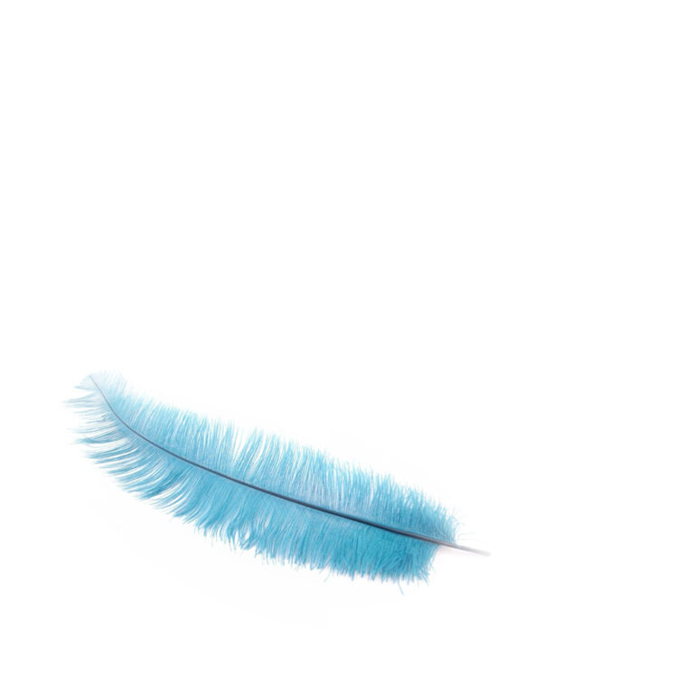 nimble_asset_feather